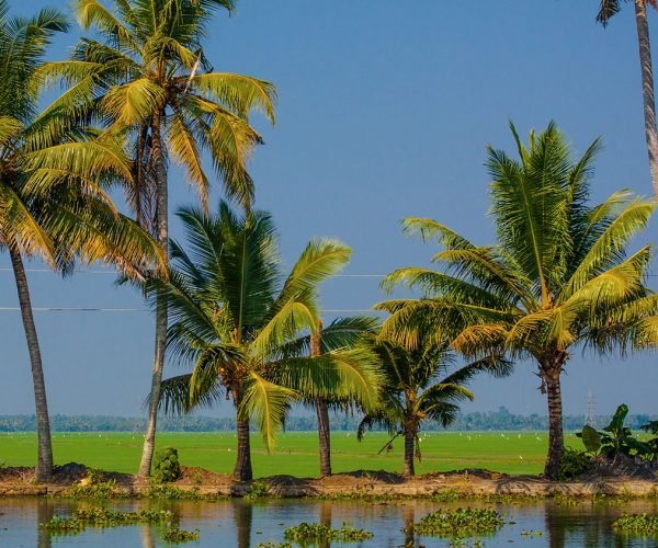 Kerala Tour Packages