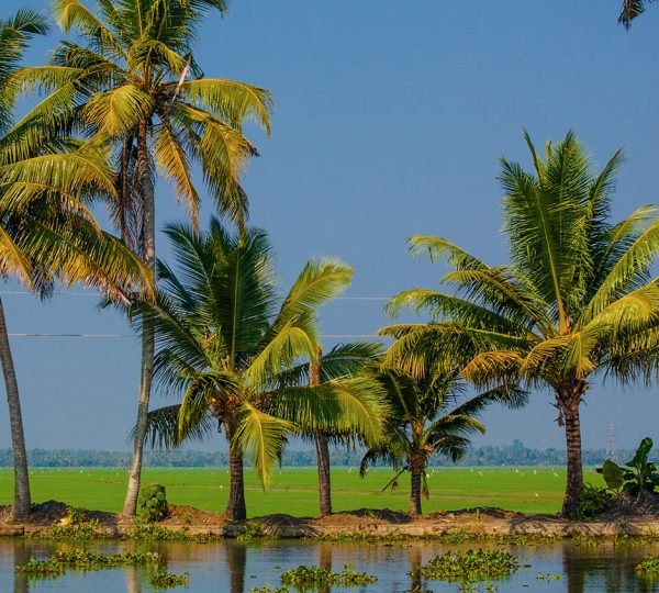 Kerala