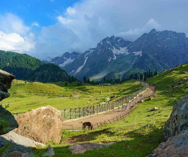 Jammu & Kashmir Tour Package