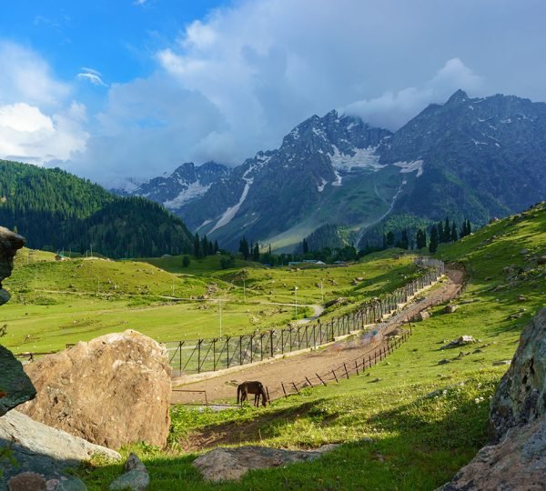 Jammu and Kashmir